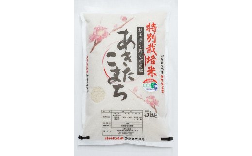 【令和5年産米】小野小町の郷特別栽培米あきたこまち5kg×1袋[B1-2201]