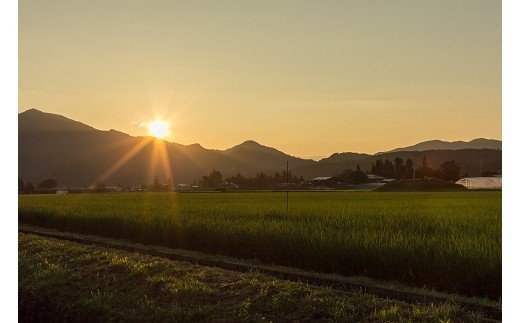【令和5年産米】小野小町の郷特別栽培米あきたこまち　5kg×2袋[H2202]