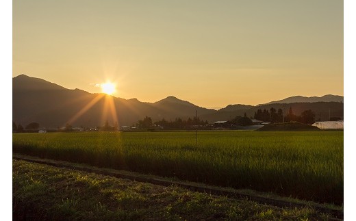 【令和5年産米】小野小町の郷特別栽培米あきたこまち5kg×3袋[C2203]