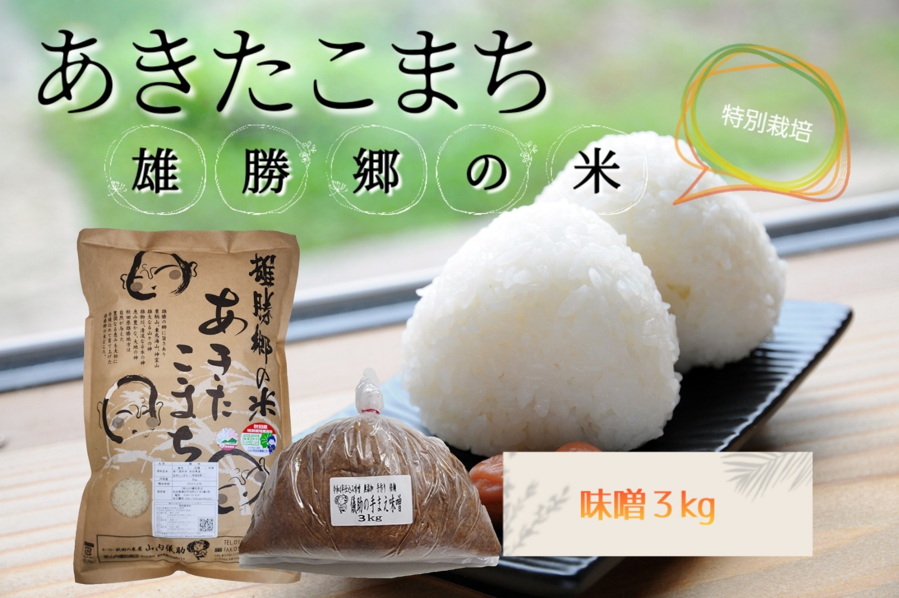 【無洗米】特別栽培米雄勝郷の米5kg味噌3kgセット[B9-2001]