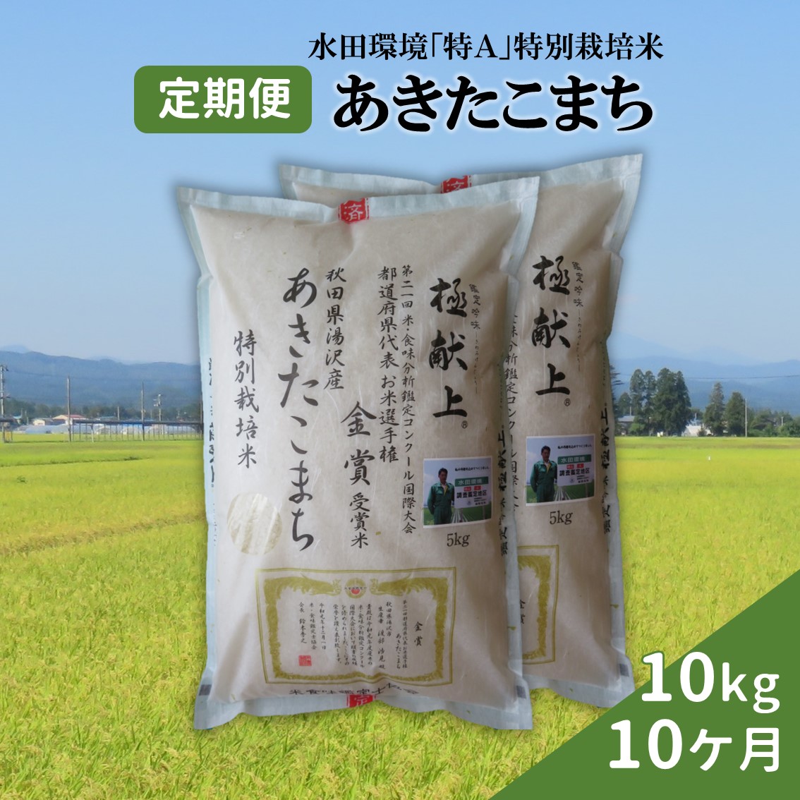 【令和6年産米】特別栽培米あきたこまち精米(5kg×2)定期便10ヶ月[F2102]