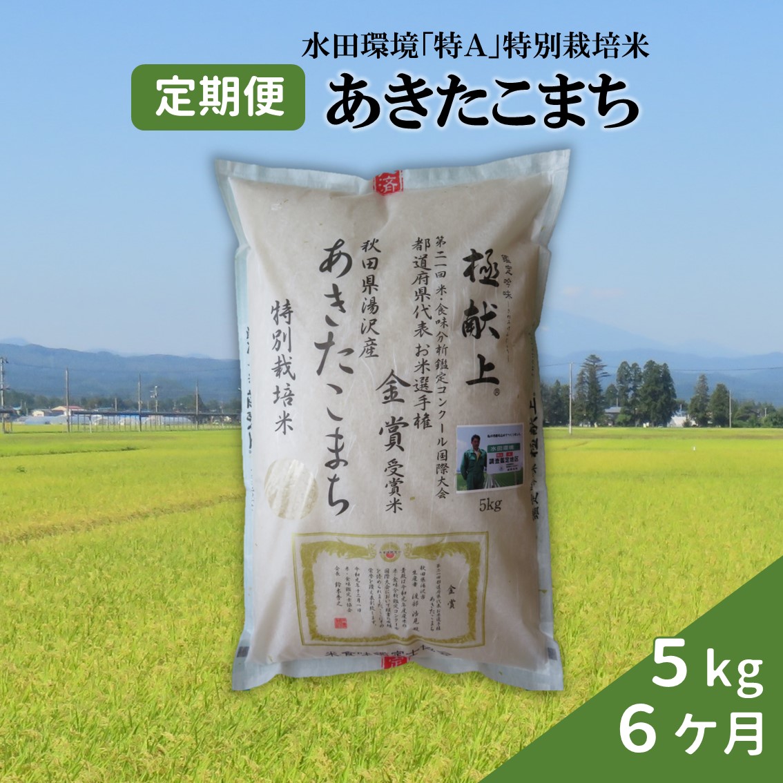 【令和6年産米】特別栽培米あきたこまち精米5kg定期便(6ヶ月)[O58-2101]