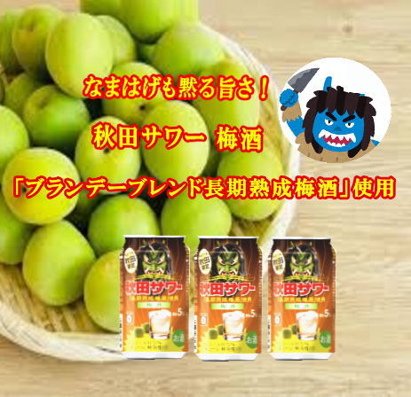 ご当地サワー！秋田サワー「梅酒」12本入り ふるさと納税 秋田県 秋田サワー 梅酒 梅 酒【小川忠太郎商店】[B5210]