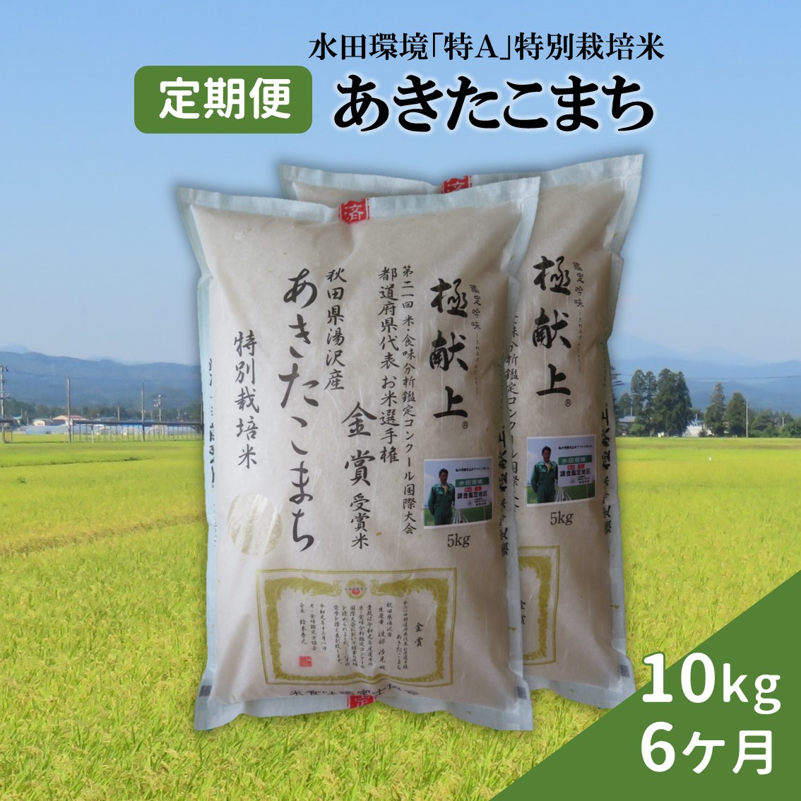 【令和6年産米】特別栽培米あきたこまち精米10kg定期便(6ヶ月)[F2106]