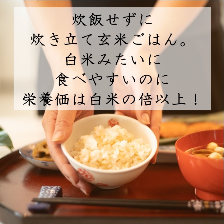 【定期便】あきたこまち玄米パックごはん3ヵ月72食分【パックごはん乳酸菌入り】[D2302]