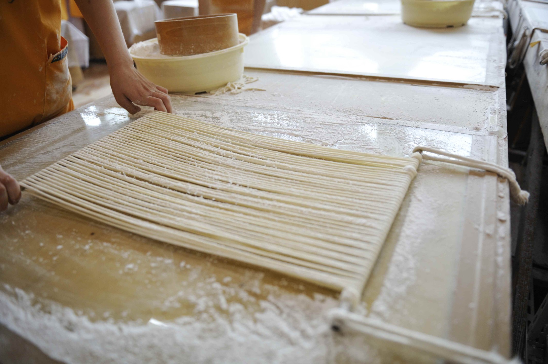 稲庭うどん 400g×5袋 20人前【株式会社稲庭古峯堂】[M1001]