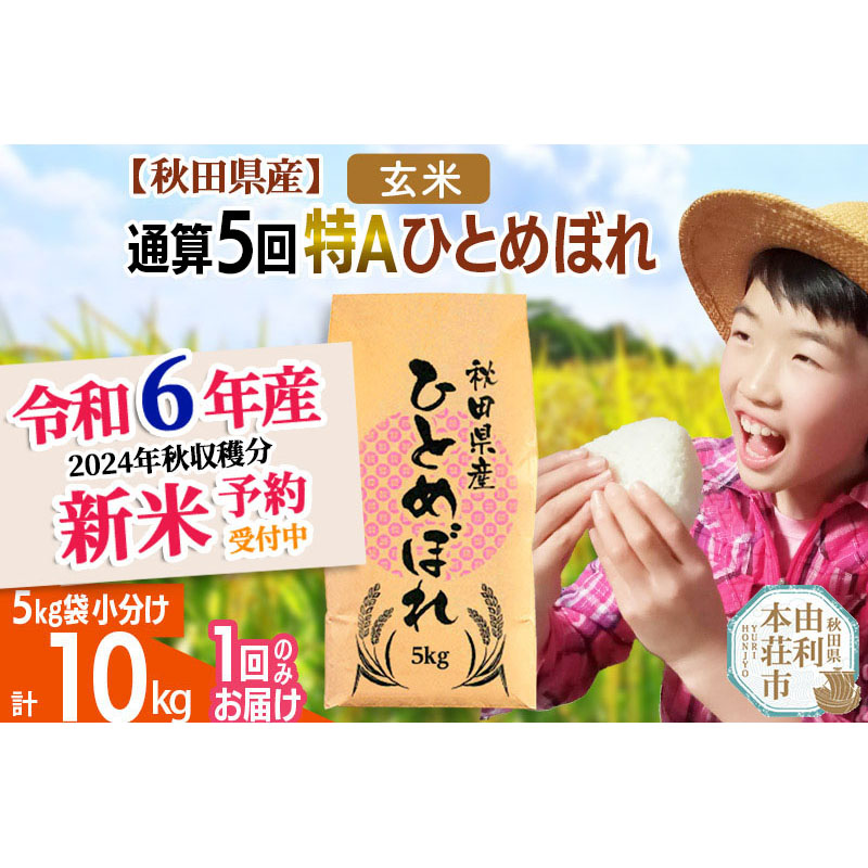 ※令和6年産 新米予約※《1回のみお届け》【玄米】通算5回特A 秋田県産ひとめぼれ 計10kg (5kg×2袋)【2024年12月頃出荷予定】