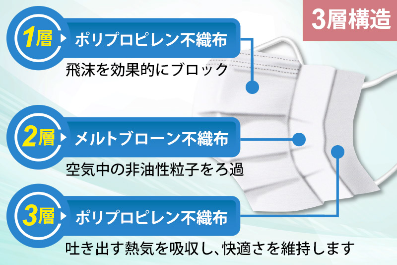 《定期便4ヶ月》国内製造 高性能サージカルマスク 普通サイズ 50枚入り×2箱 (合計100枚)×4回 4か月 4ヵ月 4カ月 4ケ月