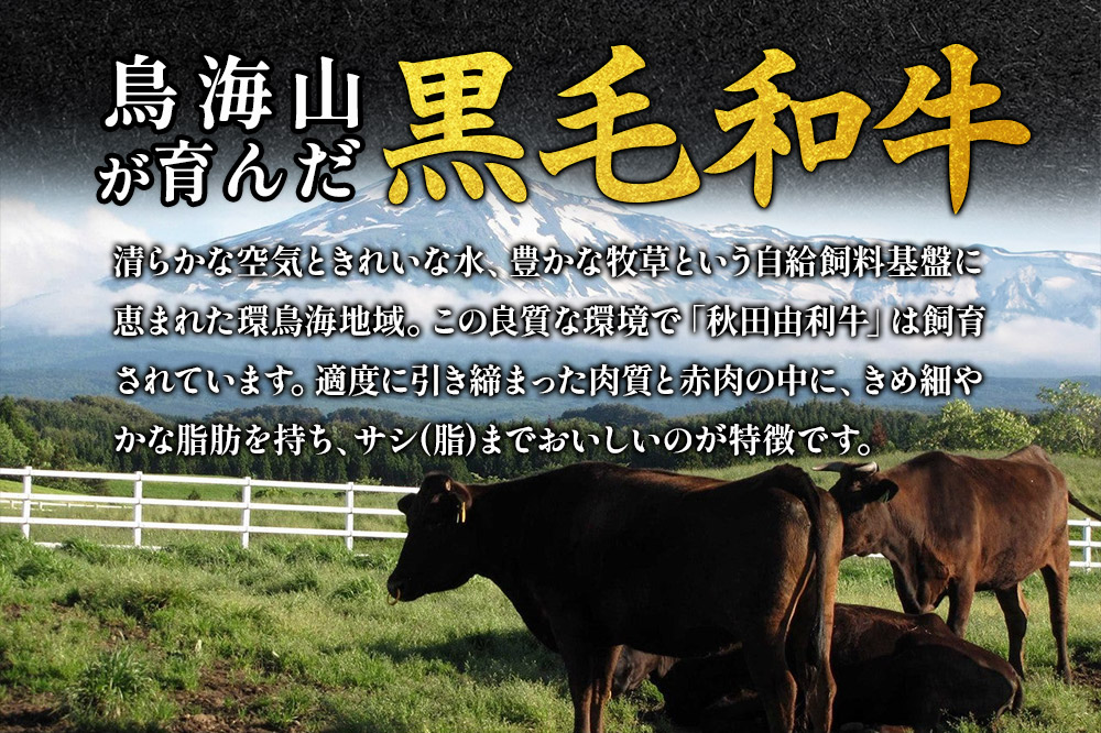 《定期便》4ヶ月連続 秋田由利牛 バラ切り落とし 5kg（500g×10パック）