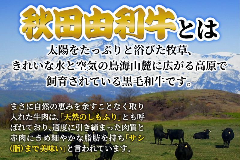 秋田由利牛 国産 みそ漬け 600g