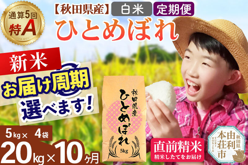 《令和8年産 新米受付》《定期便10ヶ月》【白米】通算5回特A 秋田県産ひとめぼれ 20kg(5kg×4袋)×10回  お届け周期調整 隔月に調整OK [米 白米 特A 精米 秋田県 東北 お米 ひとめぼれ 小袋 小分け 直前精米 おいしい米 おすすめ]
