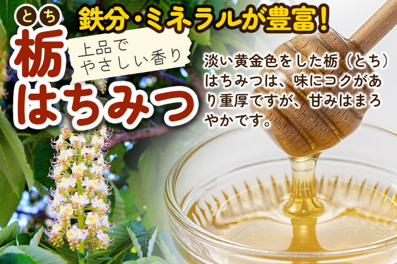 《先行受付》【定期便隔月・4回】【新蜜】小松養蜂場 はちみつ 秋田県産100％ 栃蜂蜜 1kg 空ピッチャー付 [はちみつ ハチミツ 蜂蜜 国産 秋田県産100％ 自家採蜜100％]