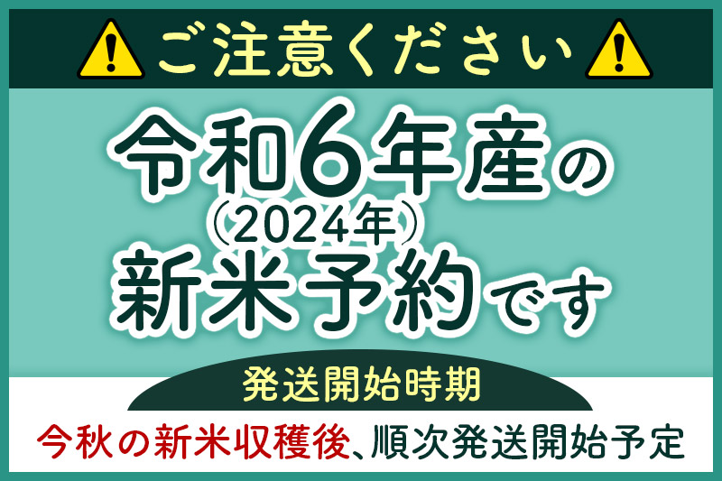 《定期便6ヶ月》【白米】 秋田県産 ミルキークイーン 5kg  令和6年産 ひろっきい米