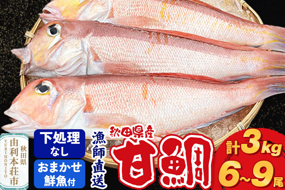 漁師直送 甘鯛（あまだい）3kg＋おまかせ鮮魚 秋田県産【下処理なし】 [天然 高級魚 白身 アマダイ たい 鮮魚 共同漁業 BLUE RISE 秋田県 由利本荘市]