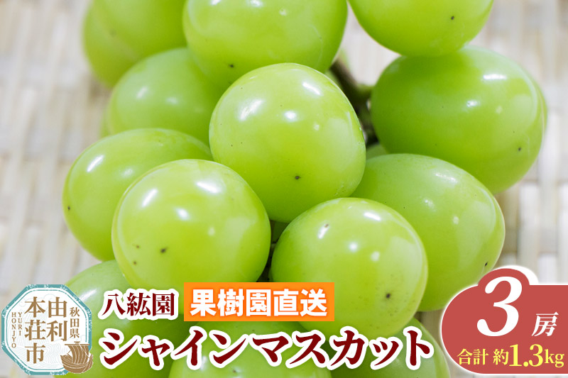 秋田県 由利本荘市産 八紘園 シャインマスカット 3房(合計 約1.3kg)