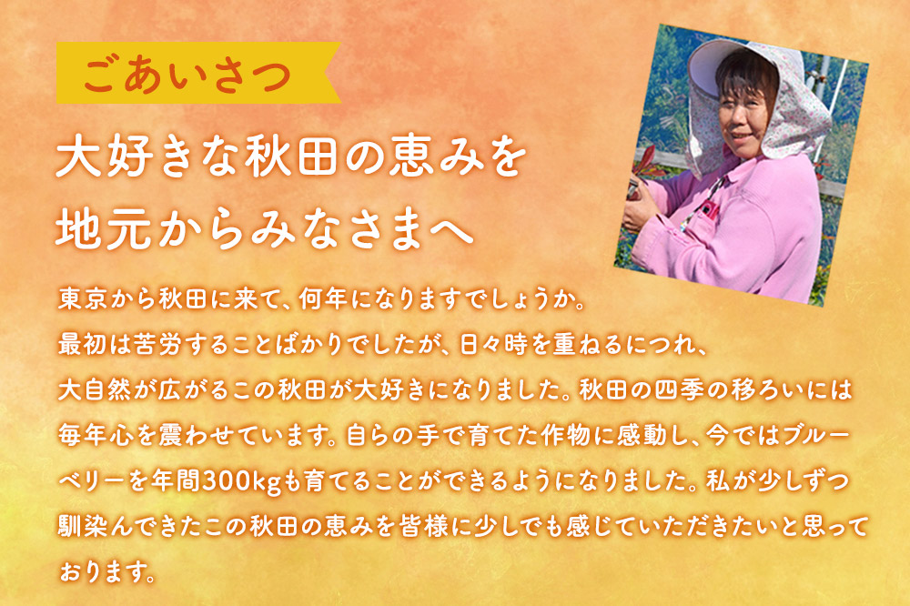 秋田県産 手摘み冷凍ブルーベリー 500g×1パック