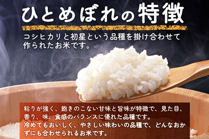 【玄米】 ＜通算5回 特A＞ ひとめぼれ   5kg 令和6年産 農家直送 渡部さんのひとめぼれ