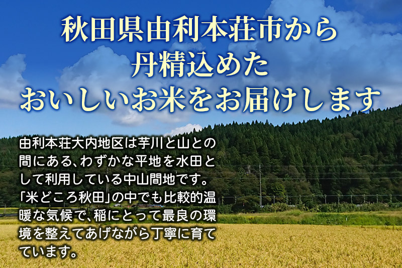 【白米】ひとめぼれ 令和6年産 秋田県産 五平農園のひとめぼれ 5kg