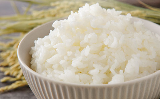 【白米】 秋田県産 ミルキークイーン 5kg  令和5年産 ひろっきい米