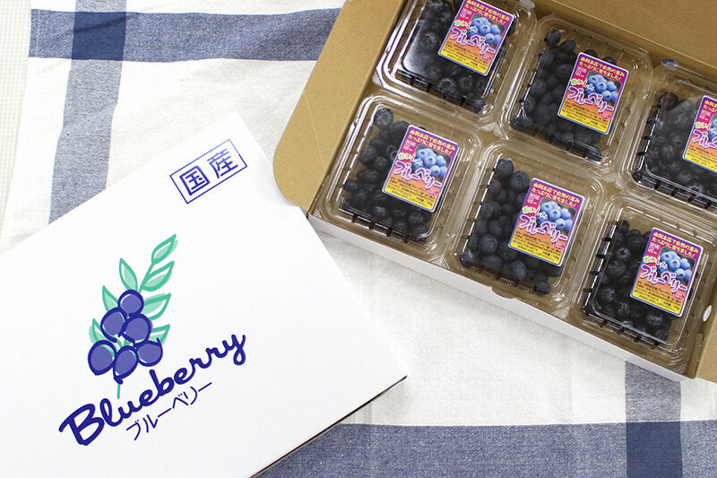 《先行受付》田口農園 秋田県産 大粒 ブルーベリー 生 合計800g（100g×8パック） 【6月下旬から順次発送】 [ブルーベリー 有機栽培 生 新鮮 安心 安全 大粒 甘い あまい おいしい 美味い 自慢 機能性食品 リピーター多い 秋田県 由利本荘市 田口農園]