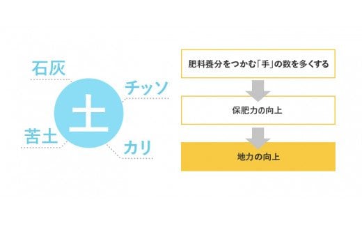 【白米】《定期便》 10kg (5kg袋小分け) ×5回 令和6年産 ひとめぼれ 土作り実証米 合計50kg 秋田県産