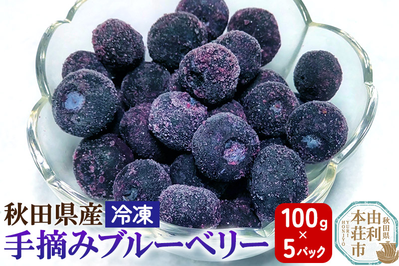 秋田県産 手摘み冷凍ブルーベリー 100g×5パック