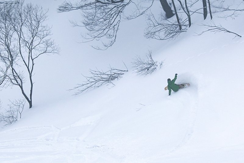 魑・豬キ鬮伜次遏「蟲カ繧ケ繧ュ繝シ蝣エ 繝ェ繝輔ヨ繧キ繝シ繧コ繝ウ蛻ク 繧キ繝ォ繝舌シ(60豁ウ莉・荳) 1譫壹仙霧讌ュ譛滄俣シ2025蟷エ12譛医2026蟷エ3譛医托シ懃ー。譏捺嶌逡呻シ