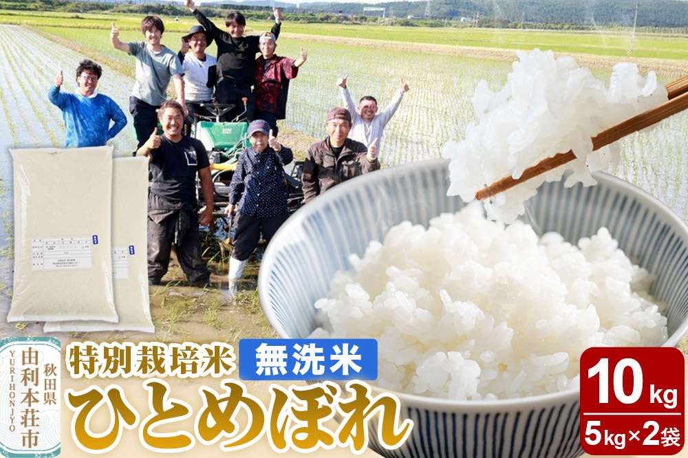 【無洗米】秋田県由利本荘市産 特別栽培米 ひとめぼれ 10kg（5kg×2袋）令和7年産