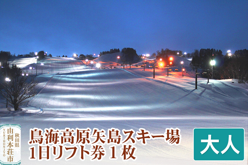 鳥海高原矢島スキー場 リフト1日券 大人1枚