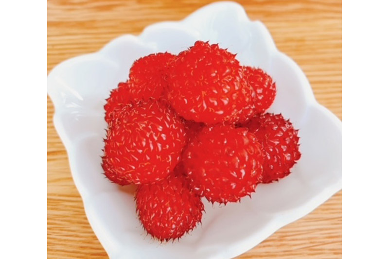 ラズベリージャム (150g×1個) ゆうパケット