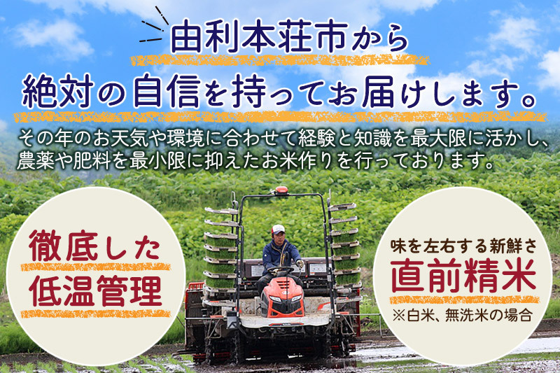 ※令和6年産 新米予約※《定期便4ヶ月》【白米】通算5回特A 秋田県産ひとめぼれ 計10kg (5kg×2袋) お届け周期調整 隔月もOK【2024年12月頃出荷予定】