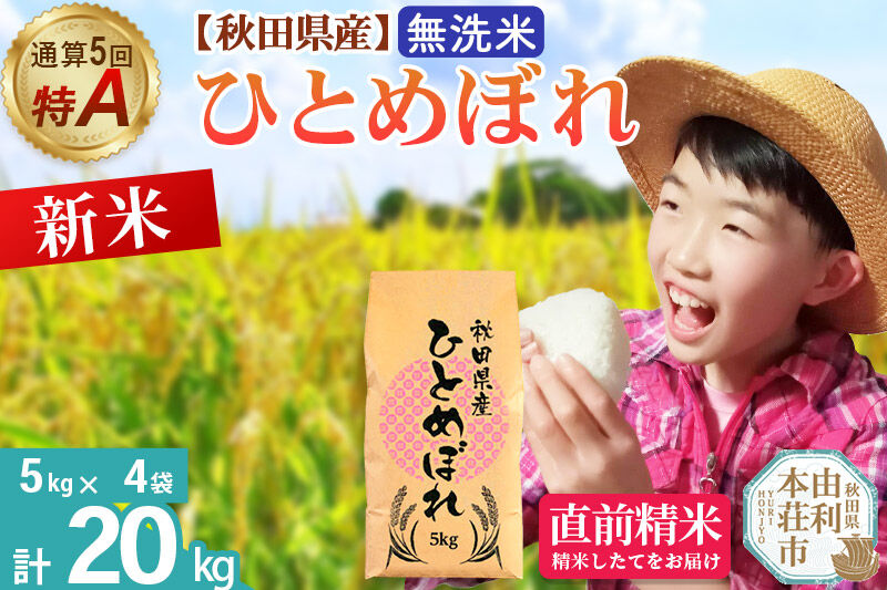 《令和8年産 新米受付》《1回のみお届け》【無洗米】通算5回特A 秋田県産ひとめぼれ 20kg(5kg×4袋) お米 米 こめ 藤岡農産 [米 無洗米 白米 特A 精米 秋田県 東北 お米 ひとめぼれ 小袋 小分け 直前精米 おいしい米 おすすめ]