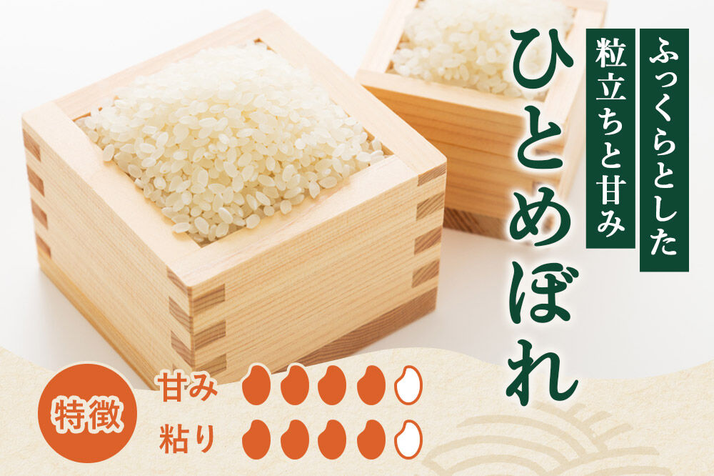 《新米予約》《定期便8ヶ月》令和8年産【無洗米】特別栽培米 ひとめぼれ 10kg（5kg×2袋）秋田県産 [ひとめぼれ 米 お米 白米 精米 無洗米 特別栽培米 ブランド米 食卓 秋田県産 秋田県 由利本荘市]