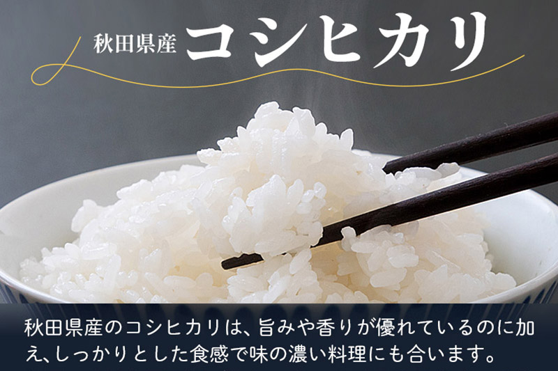 【白米】コシヒカリ 令和6年産 秋田県産 北国秋田のコシヒカリ 5kg