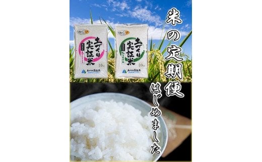 【白米】《定期便》 10kg (5kg袋小分け) ×3回 令和6年産 あきたこまち 土作り実証米 合計30kg 秋田県産