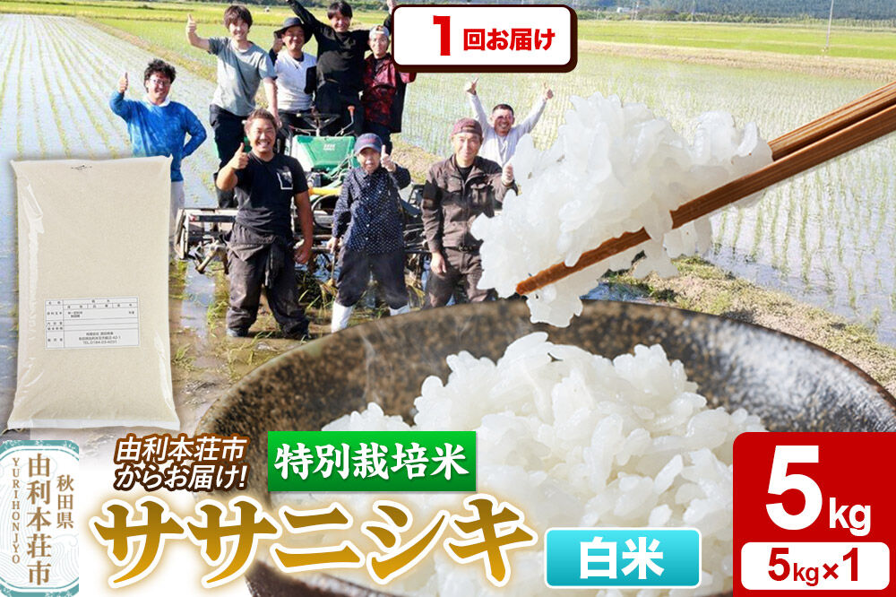 【白米】特別栽培米 ササニシキ 5kg（5kg×1袋）令和7年産 [ササニシキ 米 お米 白米 精米 特別栽培米 ブランド米 食卓 秋田県産 秋田県 由利本荘市]