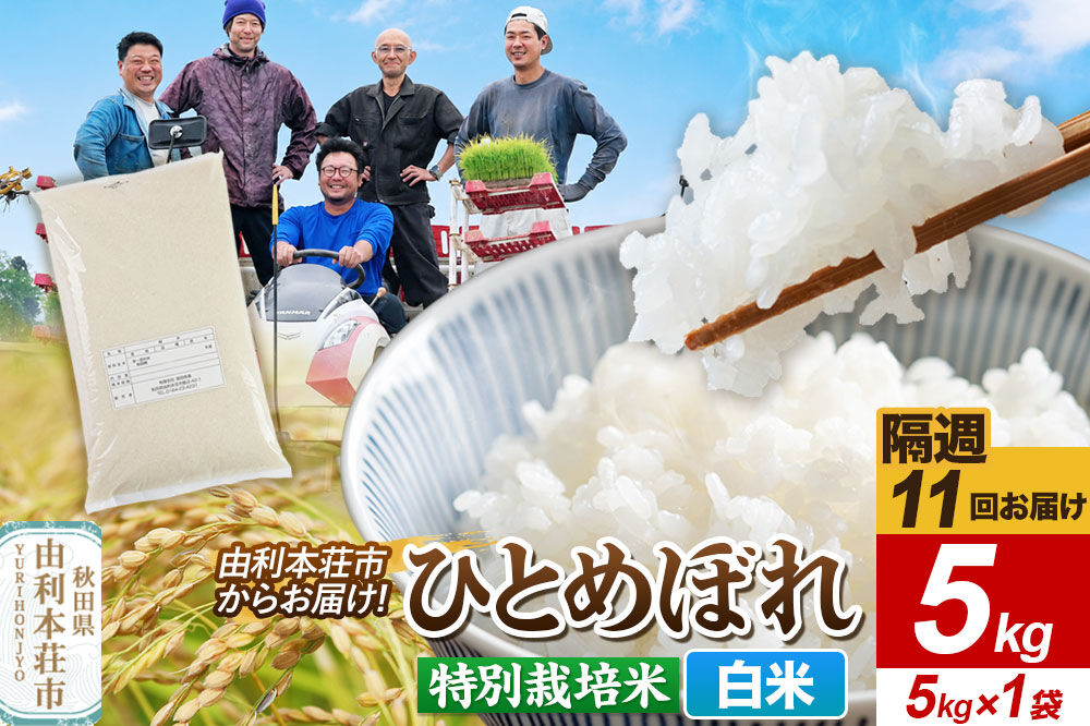 《2週間毎お届け》【定期便11回】令和8年産 新米受付【白米】ひとめぼれ 5kg（5kg×1袋）特別栽培米 秋田県産 [ひとめぼれ 新米予約 米 お米 白米 精米 特別栽培米 ブランド米 食卓 おにぎり 秋田県産 秋田]