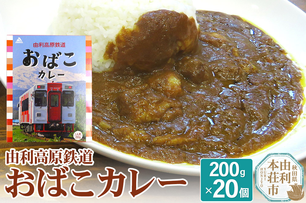 由利高原鉄道 おばこカレー 中辛 200g×20個セット