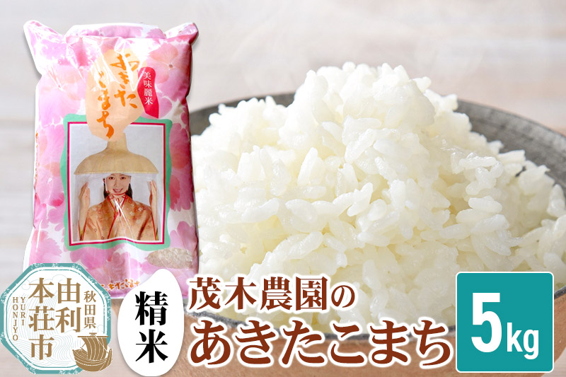 《令和7年産》【精米】  あきたこまち 秋田県産 茂木農園のあきたこまち 精米 5kg