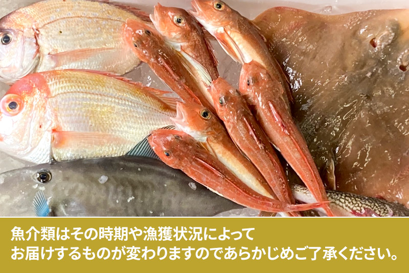 鯛 欲張りセット 旬の魚介 3kg前後