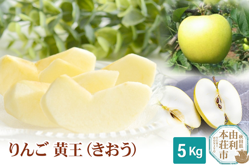 りんご きおう 黄王 5kg 秋田県産 クール 果樹園直送 黄色りんご 数量限定 【秋田の果樹園直送りんご 】