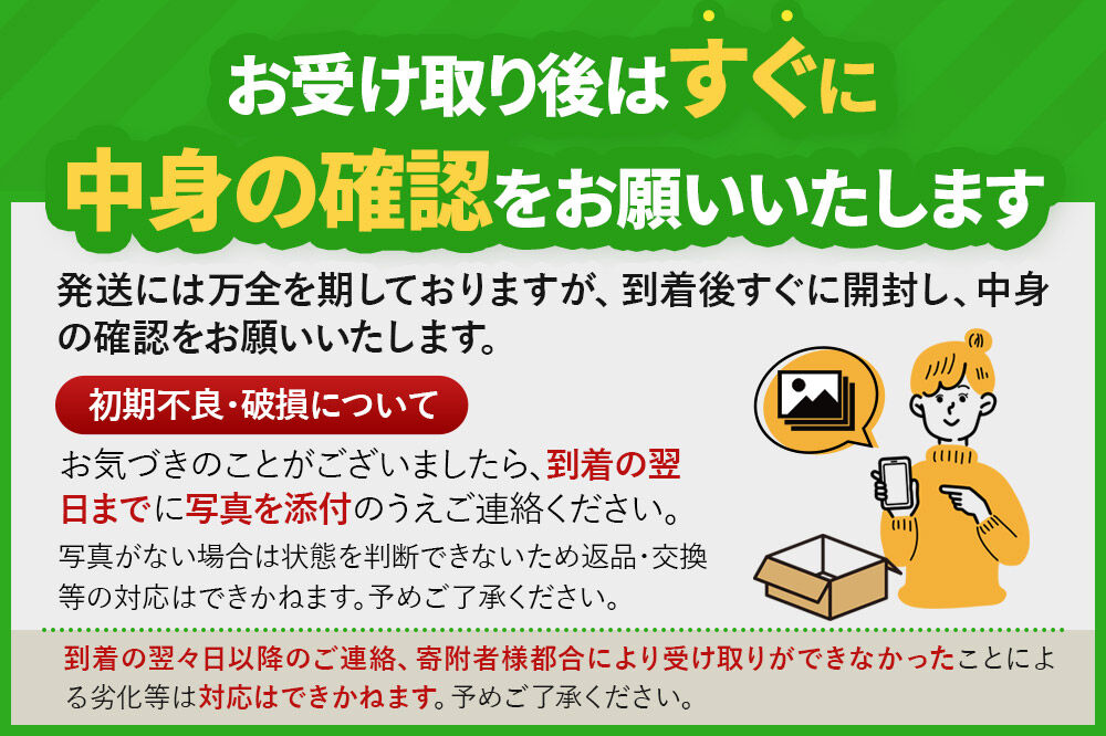 《先行受付》行者ニンニク 約500g [山菜 行者にんにく 自然栽培 野菜 天然 天然山菜 国産 先行予約 秋田熊の子山菜便 秋田県産]