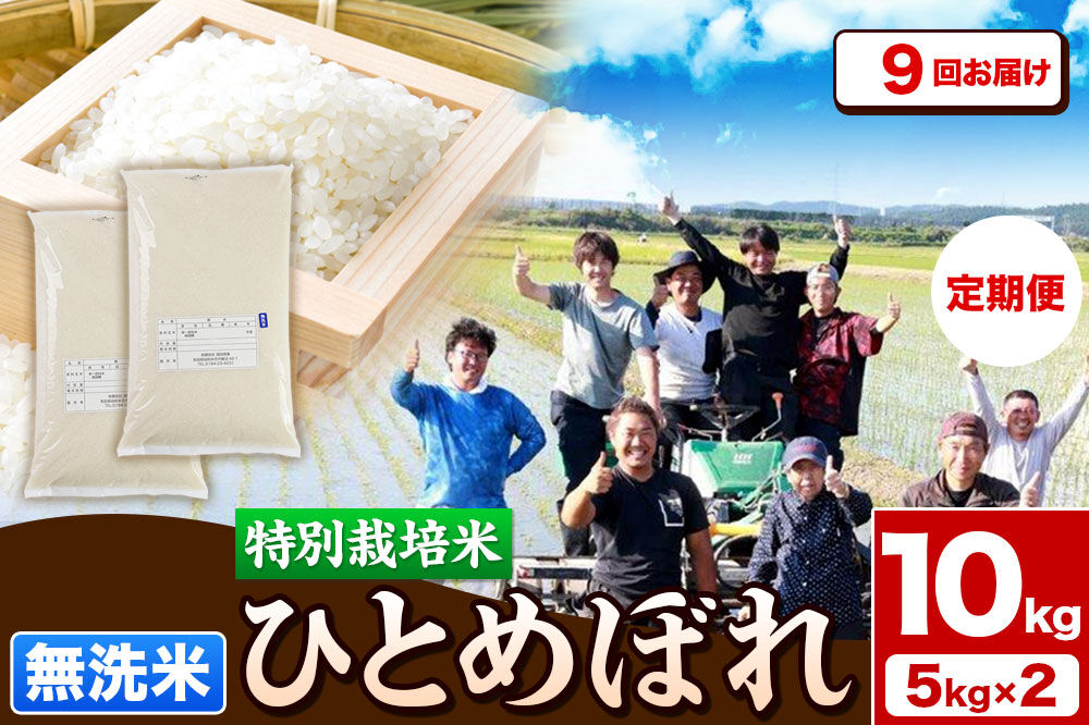 《定期便9ヶ月》令和7年産【無洗米】特別栽培米 ひとめぼれ 10kg（5kg×2袋）秋田県産 [ひとめぼれ 米 お米 白米 精米 無洗米 特別栽培米 ブランド米 食卓 秋田県産 秋田県 由利本荘市]