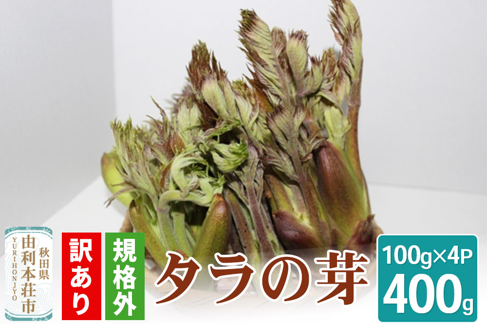 【訳あり品】 タラの芽 規格外 100g×4パック （発送は4月下旬〜5月中旬ごろ予定）