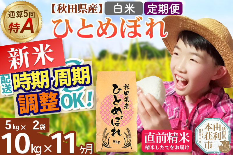 《定期便11ヶ月》令和7年産 【白米】通算5回特A 秋田県産ひとめぼれ 10kg(5kg×2袋)×11回 開始時期選べる お届け周期調整 隔月に調整OK お米 米 こめ 藤岡農産