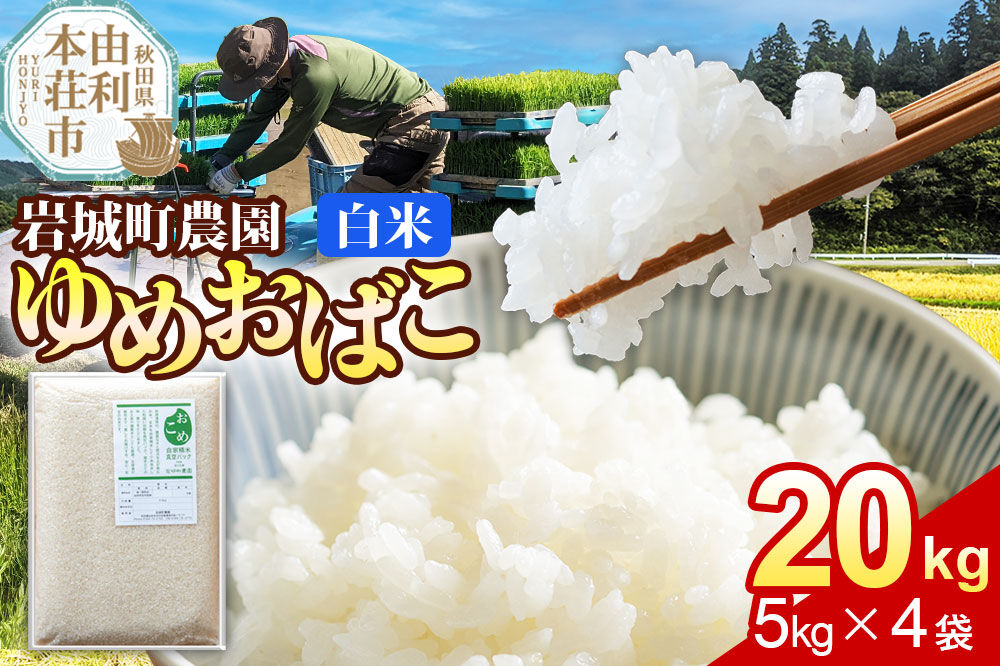 【白米】ゆめおばこ 秋田県産 岩城町農園のゆめおばこ 20kg（5kg×4袋）令和7年産 真空パック [ゆめおばこ 米 お米 こめ 白米 精米 食卓 ご飯 ごはん おにぎり 秋田県 由利本荘市]