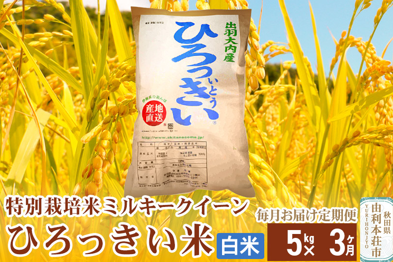 《定期便3ヶ月》【新米予約】【白米】 秋田県産 ミルキークイーン 5kg  令和6年産 ひろっきい米