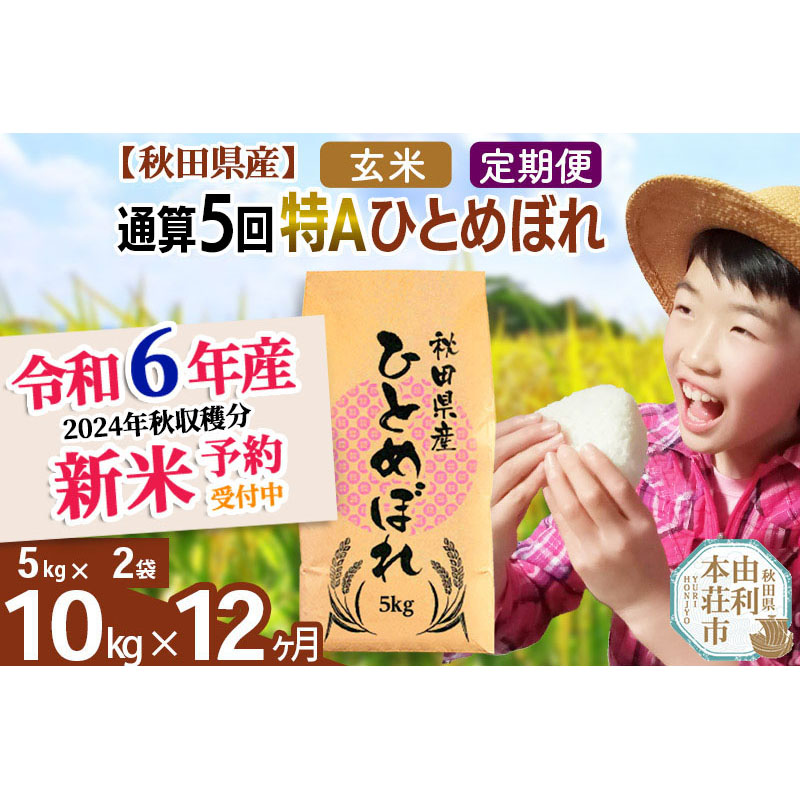 ※令和6年産 新米予約※《定期便12ヶ月》【玄米】通算5回特A 秋田県産ひとめぼれ 計10kg (5kg×2袋)【2024年12月頃出荷予定】