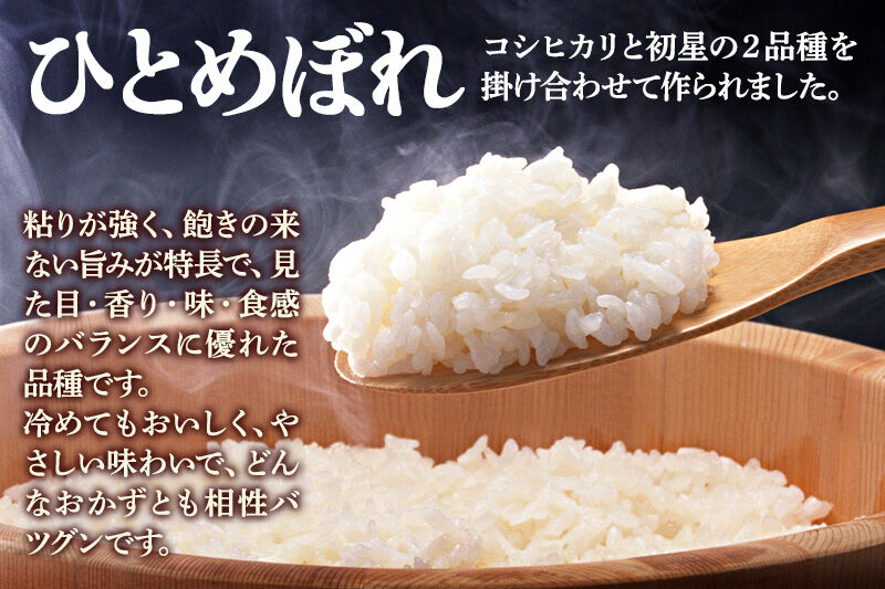 《令和8年産 新米受付》《定期便3ヶ月》【白米】通算5回特A 秋田県産ひとめぼれ 10kg(5kg×2袋)×3回  お届け周期調整 隔月に調整OK お米 米 こめ 藤岡農産 [米 白米 特A 精米 秋田県 東北 お米 ひとめぼれ 小袋 小分け 直前精米 おいしい米 おすすめ]