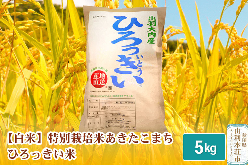 【白米】 秋田県産 あきたこまち 5kg 令和6年産 特別栽培米 ひろっきい米